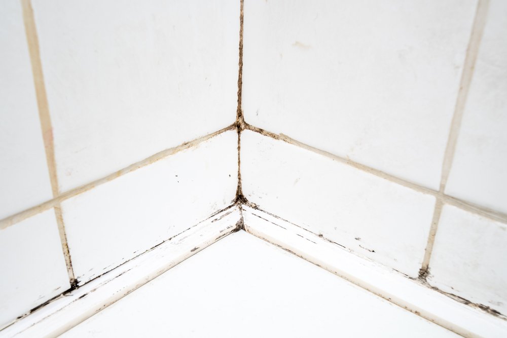 bathroom ventilation mould