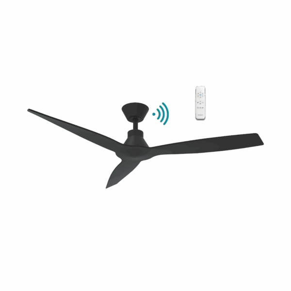 Triumph 3-blade ceiling fan in matte black, featuring aerodynamic curved blades, a dedicated 6-speed remote control, and a sleek integrated motor housing.
